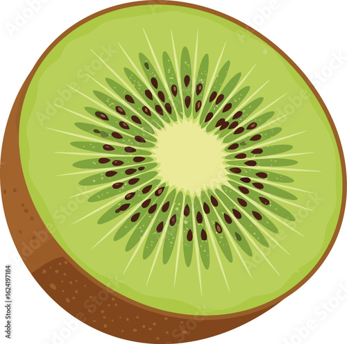 Fresh kiwi slice vibrant healthy fruit