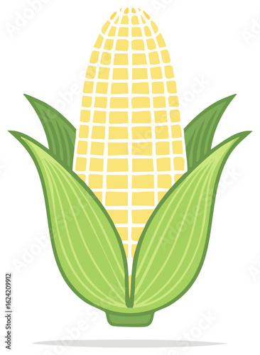 Fresh yellow ear of corn with green husks healthy vegetable food illustration isolated