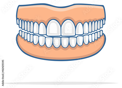 Complete Set of Dentures Illustration for Dental Health and Prosthodontics