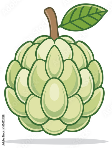 Fresh custard apple or sugar apple fruit with green leaf vector illustration