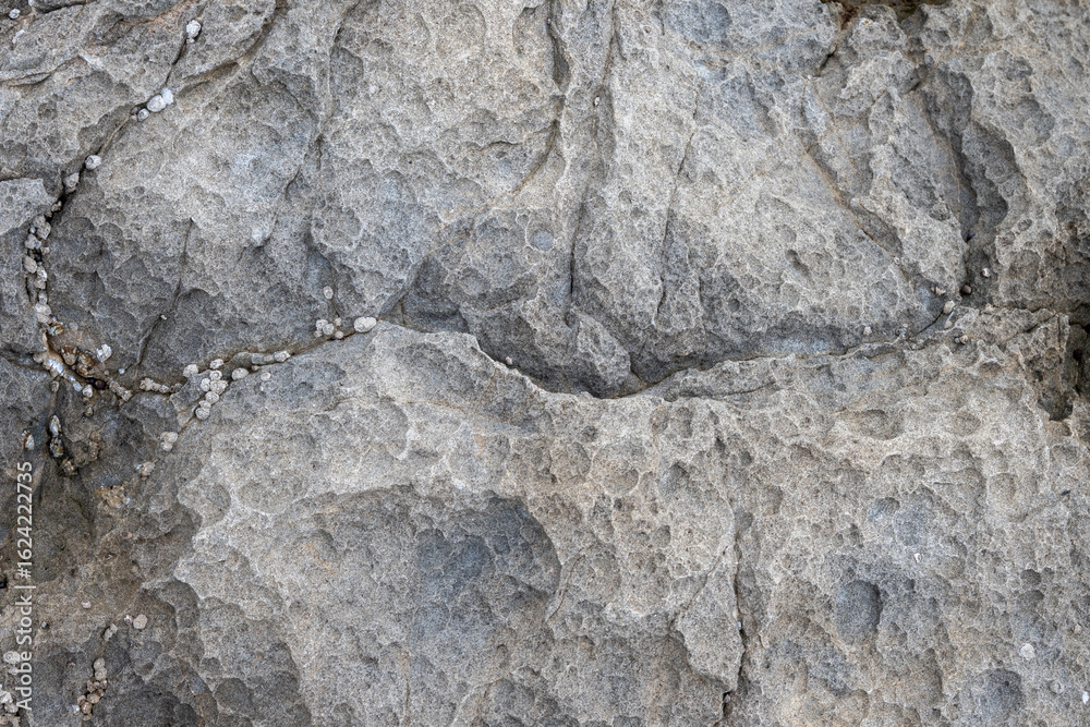 Fototapeta premium stone wall texture