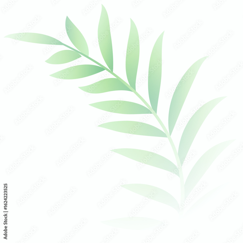 Fototapeta premium minimal soft green leaves on white background design