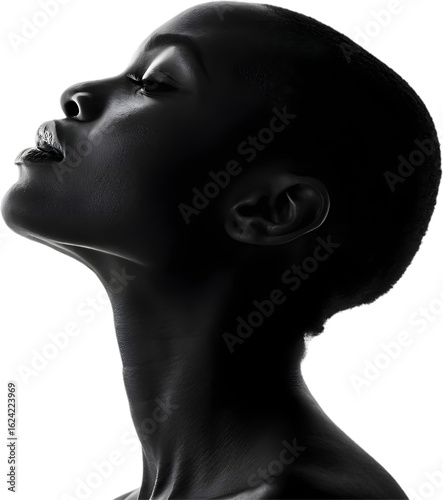 Stunning black and white portrait highlighting a woman's profile, masterfully using light to sculpt her features.