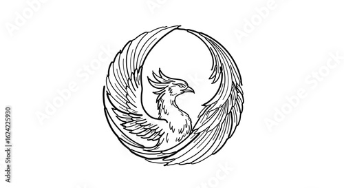 Phoenix bird drawing in black and white with wings spread for tattoo design and logo illustration art