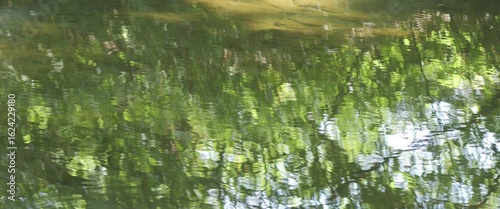 Reflective river stream in the forest anamorphic 4K video