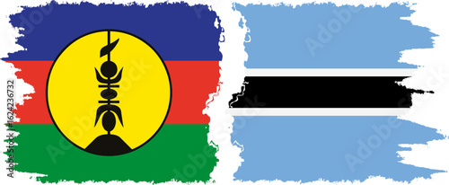 Botswana and New Caledonia grunge flags connection, vector