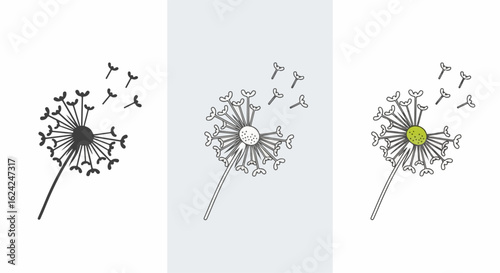 Stylized Dandelion Clock with Seeds Dispersing, Simple Line Art Illustration
