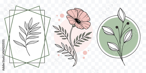 Elegant botanical illustration with modern geometric frame and floral designs perfect for wedding invitations and decorative accents creating a minimalist touch