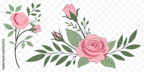 Elegant Pink Roses and Green Leaves Illustration for Wedding Invitations and Floral Designs Springtime Beauty and Decorative Elements