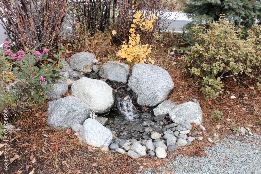 Obraz premium Small rock water feature surrounded by autumnal foliage