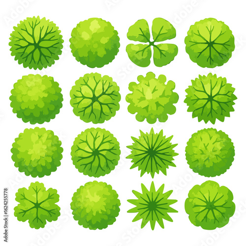 Top View Tree Icon Set, Round Bushes and Leaf Shapes Plant Illustrations, Landscaping and Floorplan Design