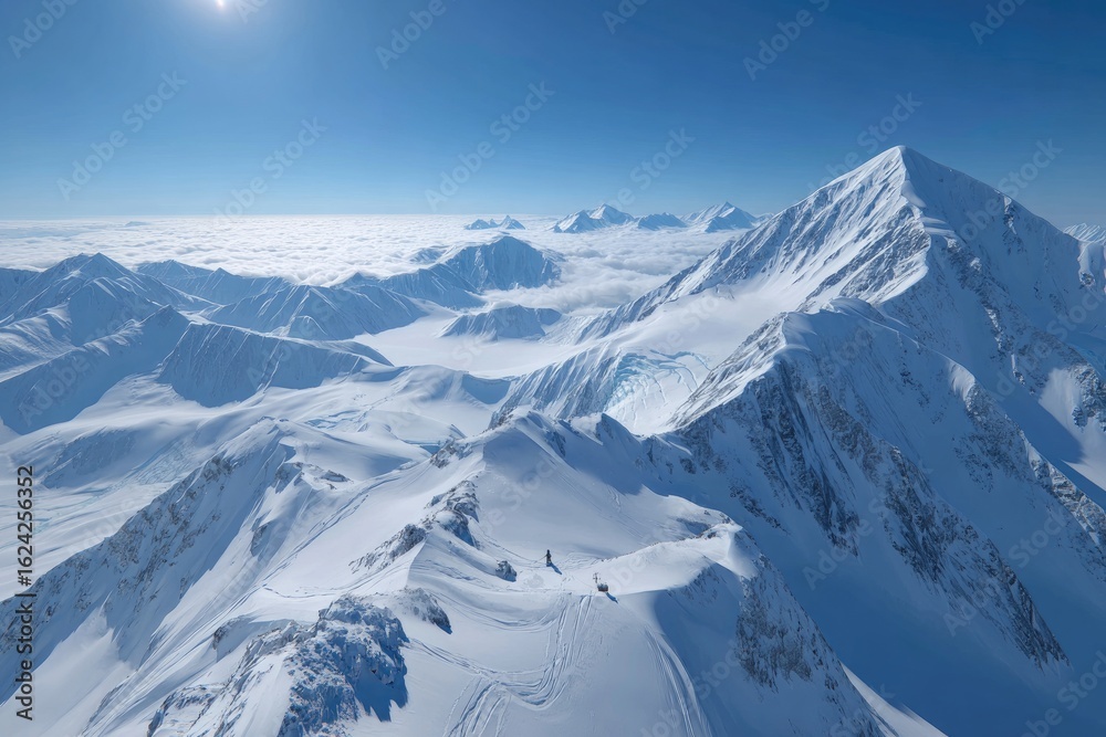 Naklejka premium High-altitude Alaskan snow-capped peaks, vast valleys, and a bright sky