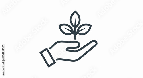 Hand Holding a Sprout, Symbol of Growth and Sustainability