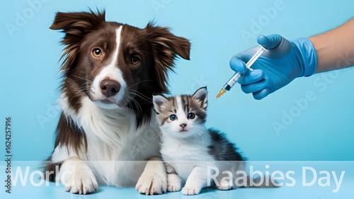 Dog and cat receive vaccinations from veterinarian
