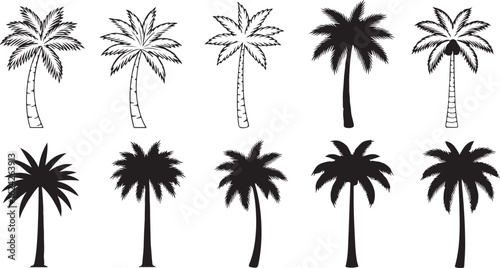 Assortment of Palm Tree Silhouettes and Line Art Illustrations tropical