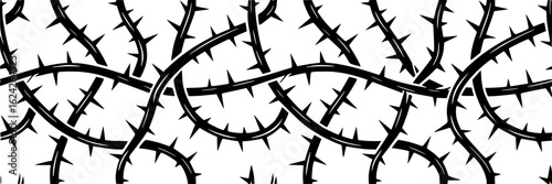 Black and white vector illustration of intertwined thorny branches. Seamless pattern of curved, thorny vines. Monochrome graphic design element for borders, backgrounds, and fabric prints. Thorns, sha