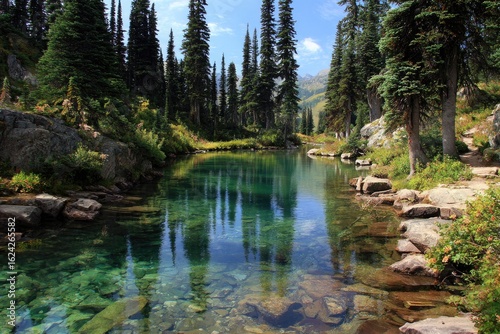 Tranquil alpine lake reflecting tall pines
