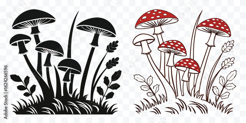 Mushroom Vector Illustration Two Different Styles of Fungi Growing in Nature Artful Line Work Design Concept for Forest Illustration