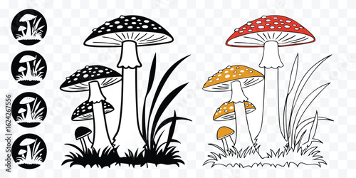 Amanita Mushroom Illustration with Variations and Silhouettes for Mycological Studies and Design Projects with Fungi Elements