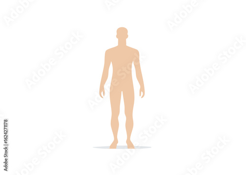 form man standing on a white background