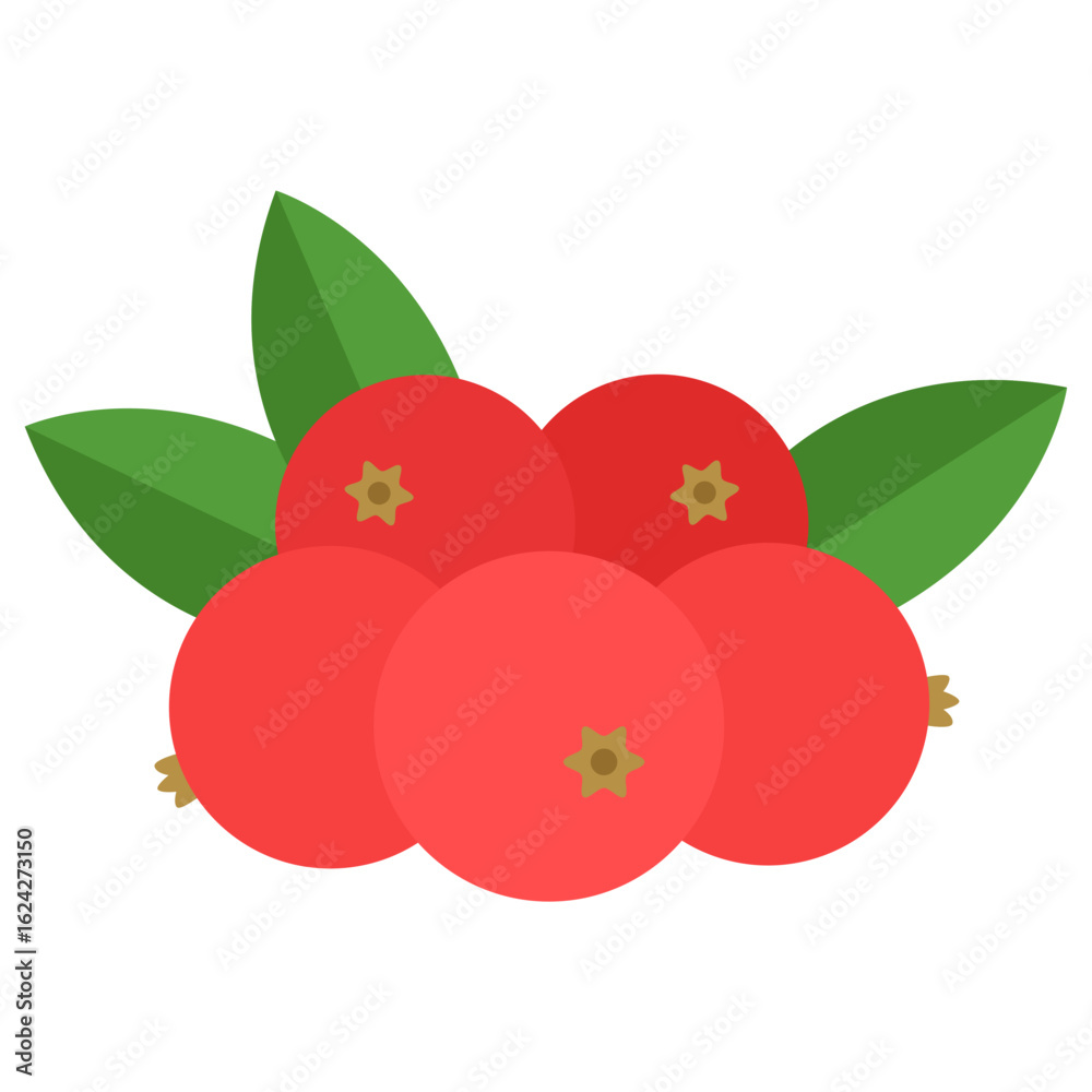 Obraz premium Redcurrant Fresh Fruit Illustration
