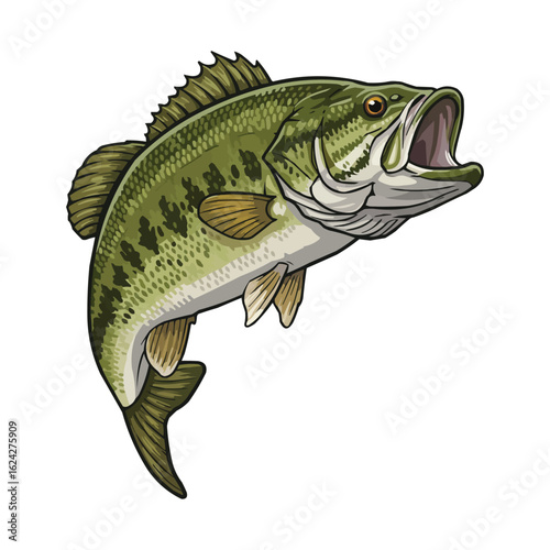 Aggressive Largemouth Bass Fish Jumping