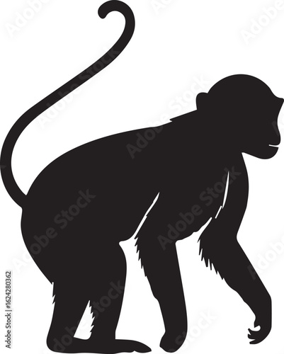monkey silhouette
