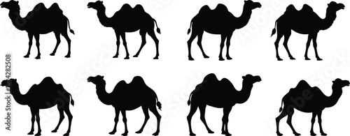 Camel Silhouette Vector Pack