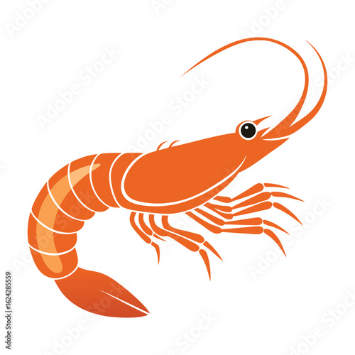 vector illustration of a shrimp..Boiled shrimp vector illustration
