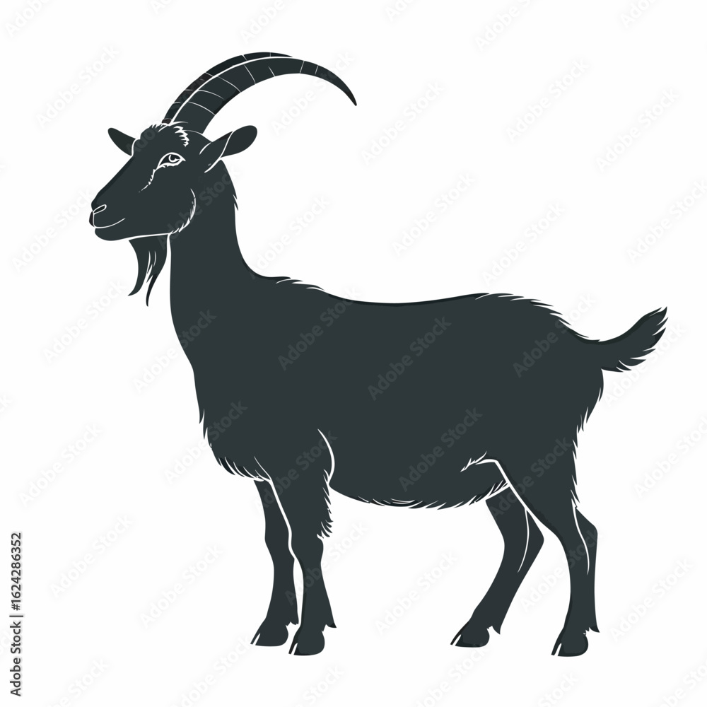 Fototapeta premium goat isolated on white
