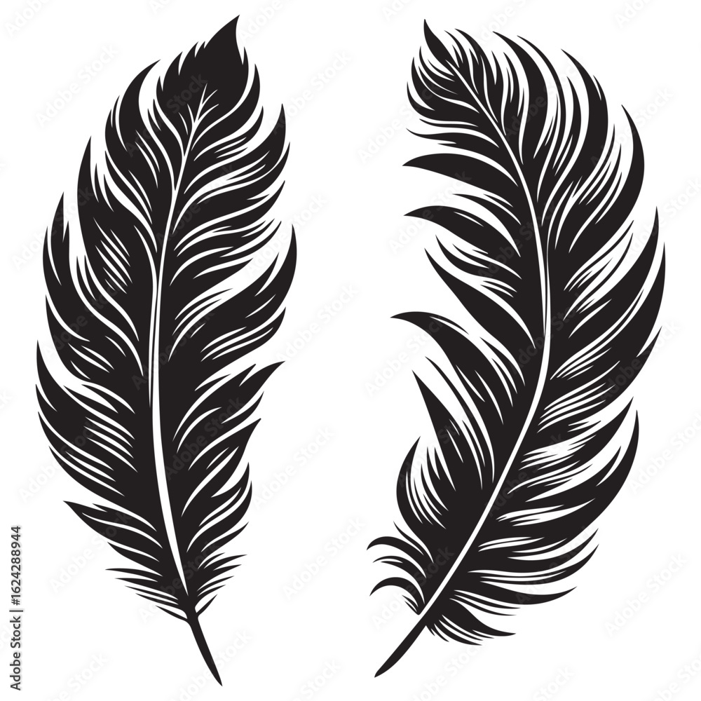 Obraz premium A black silhouette, a Feather vector group