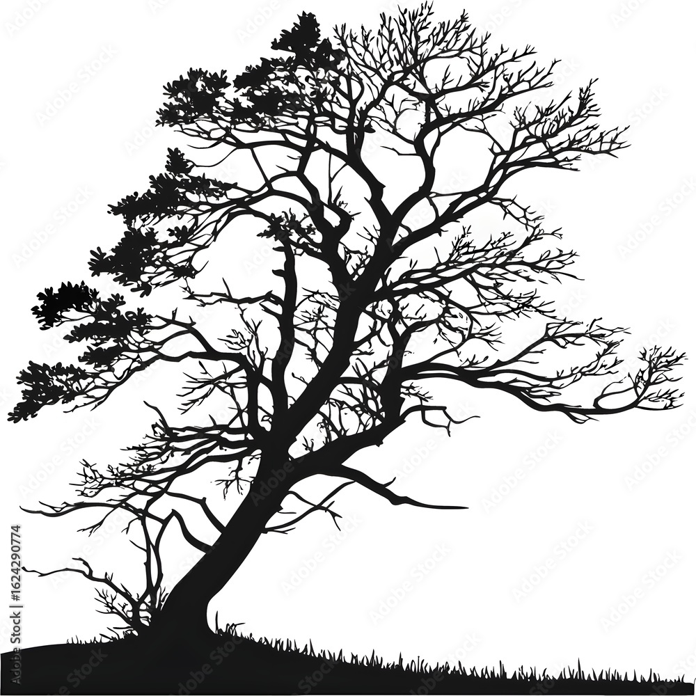Fototapeta premium Hand-drawn black and white silhouette of a beautiful tree on a clean background.