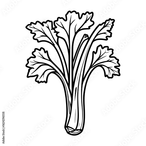Outline celery vegetable
