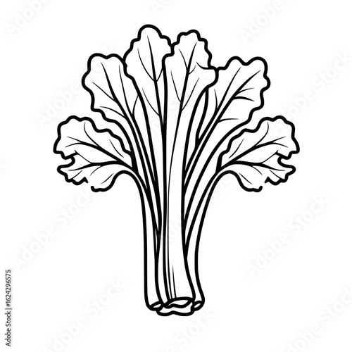 Outline celery vegetable