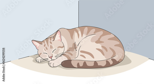 Tabby cat sleeping in corner of room. Flat color background. Story illustration