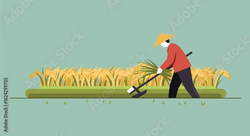 Farmer harvesting rice in field illustration for agriculture concepts