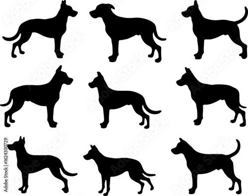  Dog Silhouettes in Various Poses vector bundle