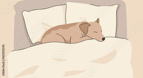Dog sleeping in bed under covers with pillows, illustration for lifestyle articles