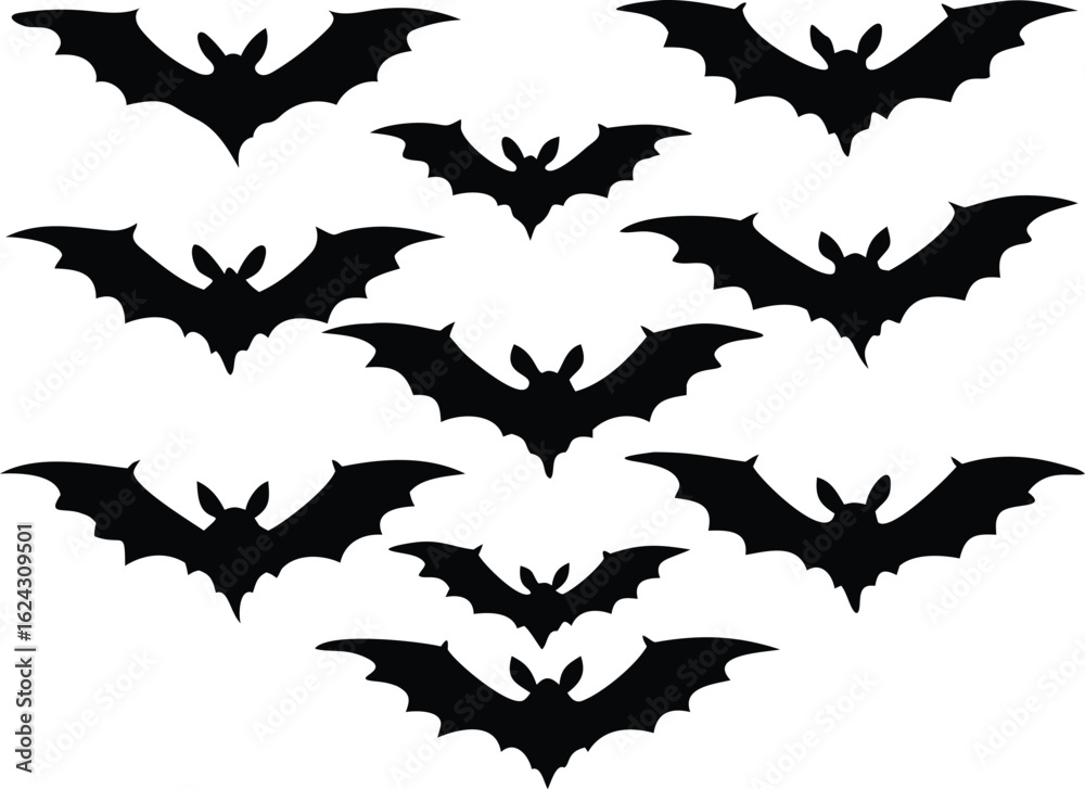 Fototapeta premium vector silhouettes of birds