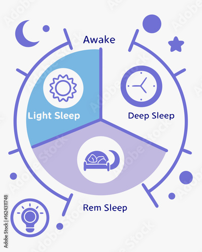 Human Sleep Cycle Infographic – Circular Vector Diagram with REM, Light, and Deep Sleep Stages