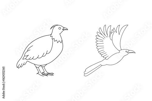 Bird standing and bird flying line art avian wildlife