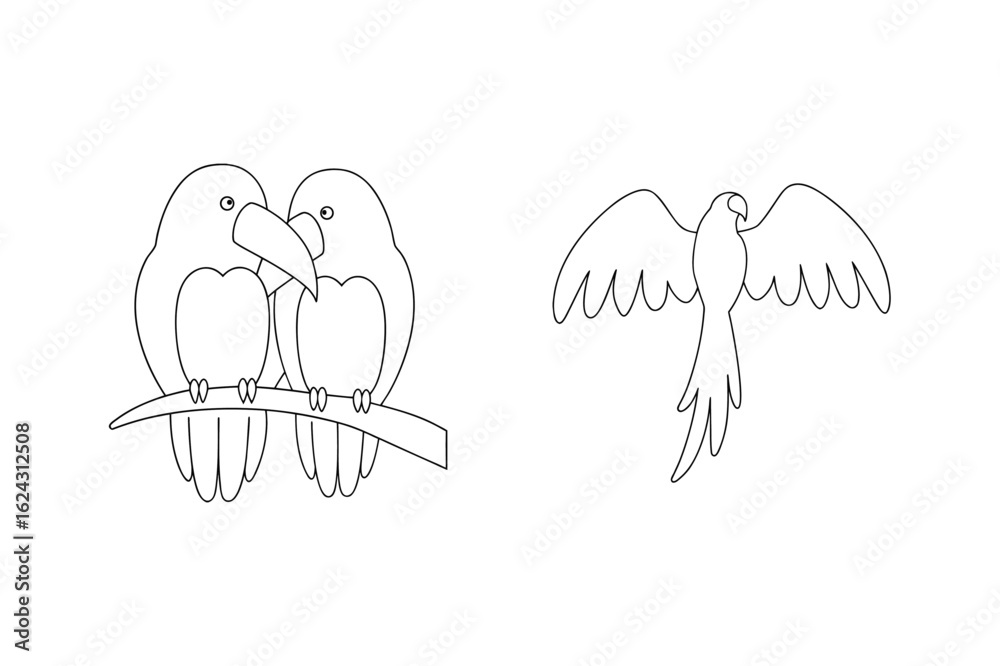 Fototapeta premium Two parrots perched flying parrot bird wings spread