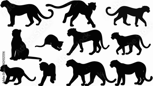 Silhouette depictions of various panther poses including standing sitting and playful actions displayed