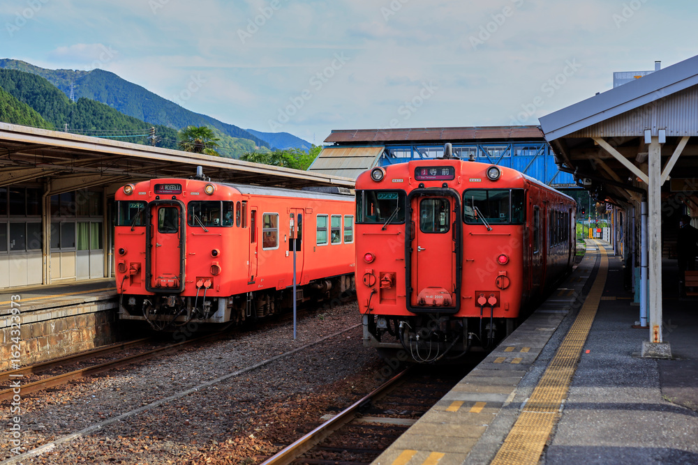 Obraz premium 播但線生野駅キハ47