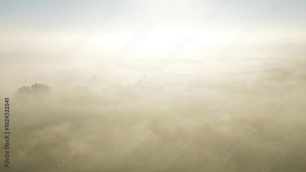 Obraz premium Moody morning fog over autumn landscape