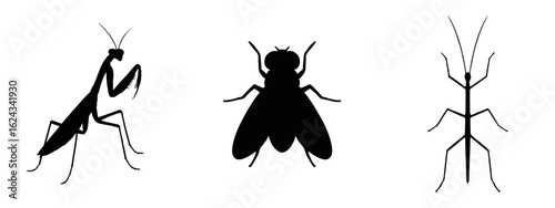 Insect silhouettes: An artistic, symmetrical arrangement of three black insect silhouettes is showcased, each exuding an enigmatic aura. Each form, meticulously crafted against the plain backdrop.