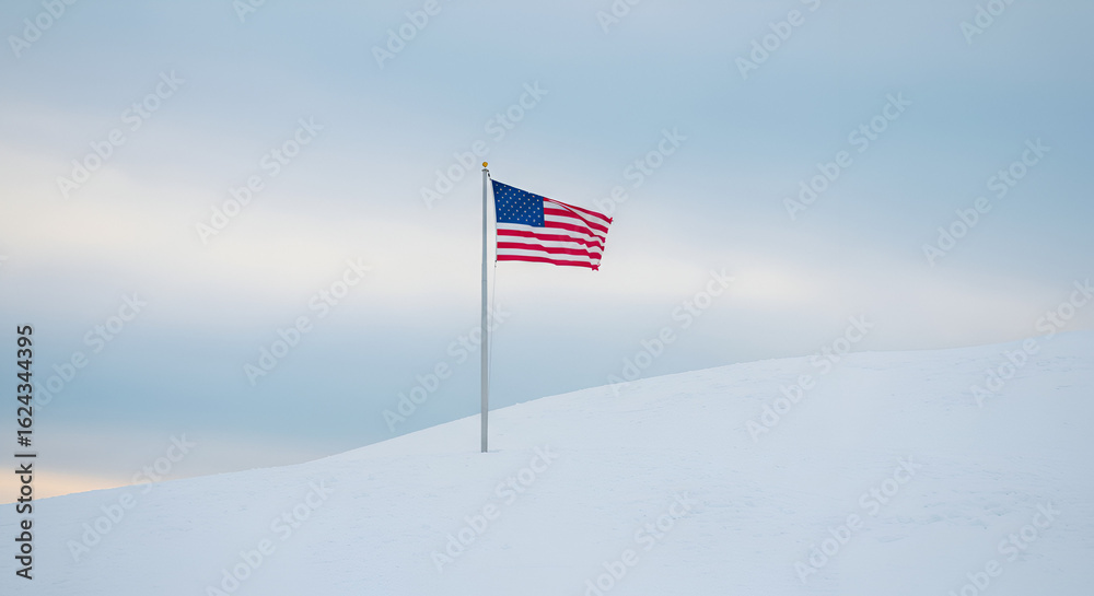 Fototapeta premium American flag on a snowy hill under a muted sky