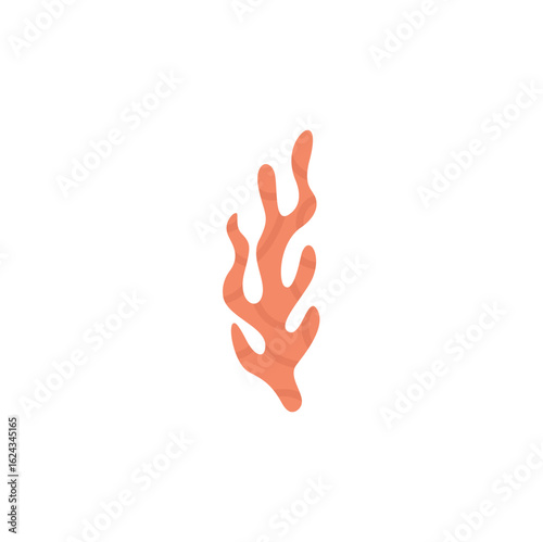 Sea coral and seaweed vector illustration 
