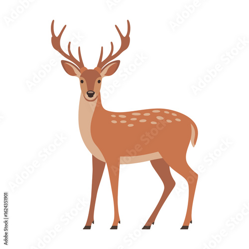 Deer vector illustration on white background.
