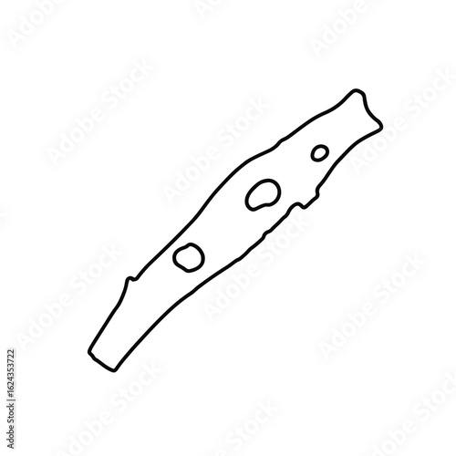 Minimalist bark drawing on white background, natural artistry